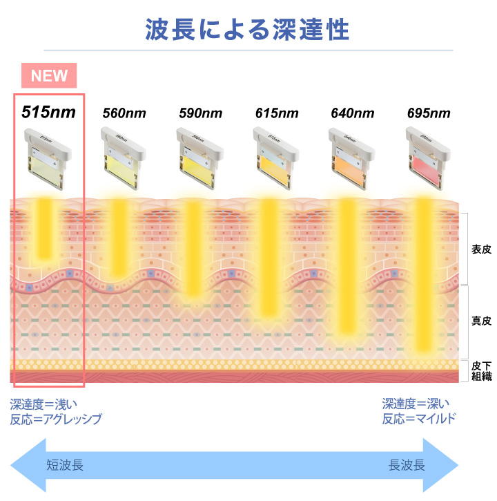 波長による深達性