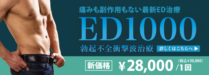 ED1000期間限定導入記念価格詳しくはこちら