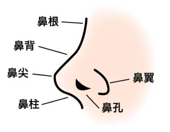 鼻プロテーゼ 隆鼻 インプラント 人工軟骨 アップノーズ 鼻筋 大阪 鼻を高く