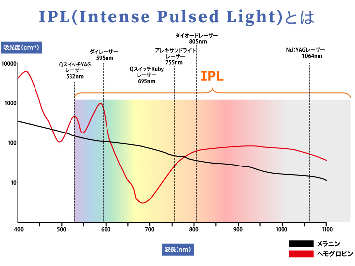 IPLの波長が効果を示す範囲