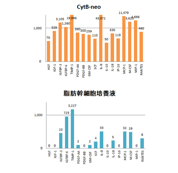 サイトカインブースター CytB-neo hscm100 臍帯血幹細胞 毛髪再生 発毛 育毛 ハゲ AGA 薄毛