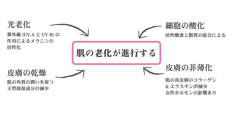 シミになる原因を解説している図