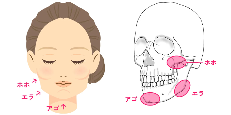 輪郭3点イメージ