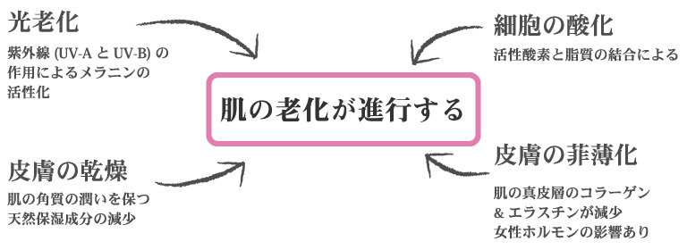 顔に現れる代表的なシミの種類を示すイメージ