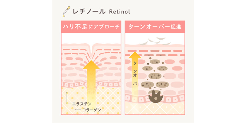レチノールが肌に作用する仕組み