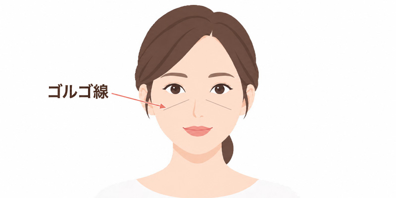 目の下から頬にかけて現れるゴルゴ線の位置を確認するイメージ