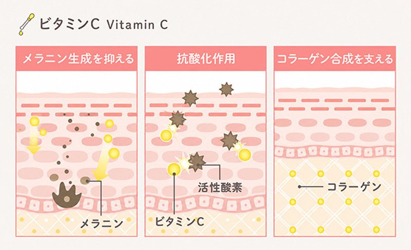 ビタミンCの肌への効果