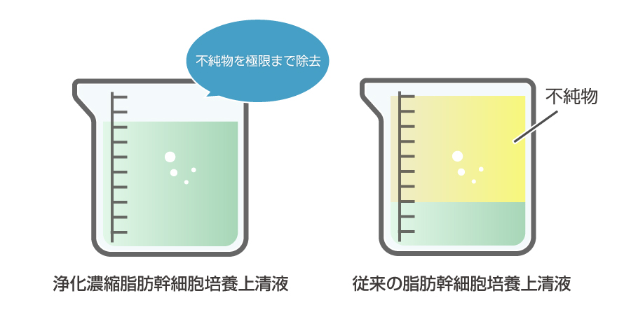 浄化濃縮脂肪幹細胞培養上清液と従来の脂肪幹細胞培養上清液