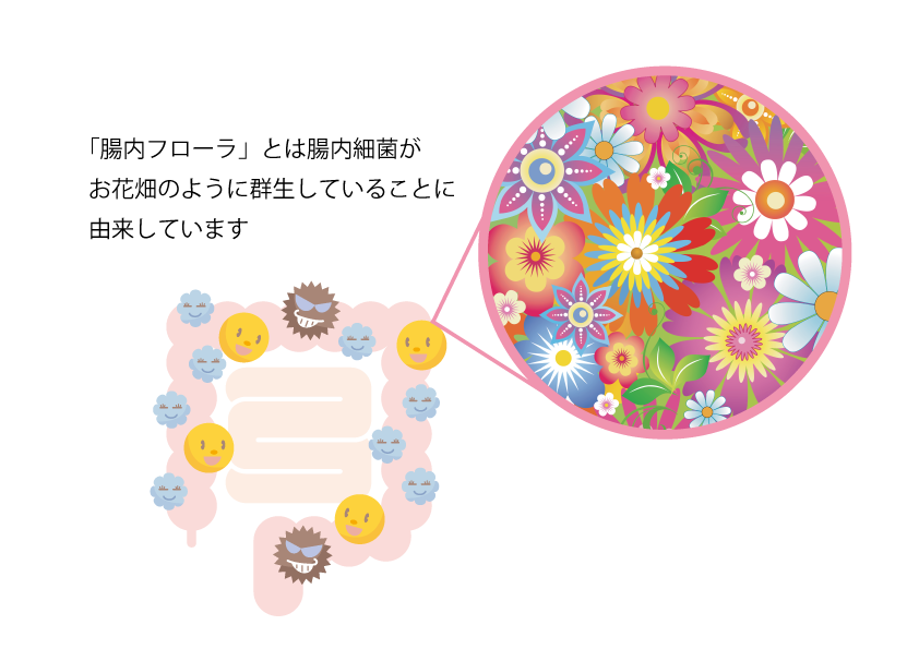 Dr.SLIMHAPPY ドクタースリムハッピー ダイエットサプリ カロリーカット 腸内フローラ 医師監修 医療機関専売 大阪