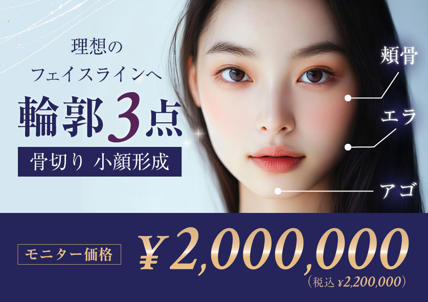 輪郭3点モニター募集