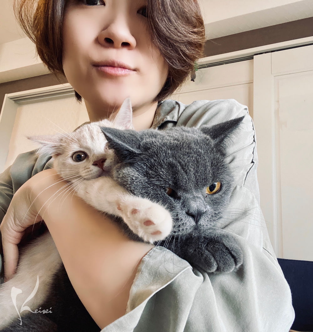 松本先生と猫の画像