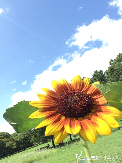 夏は本番！準備はOK？❤️