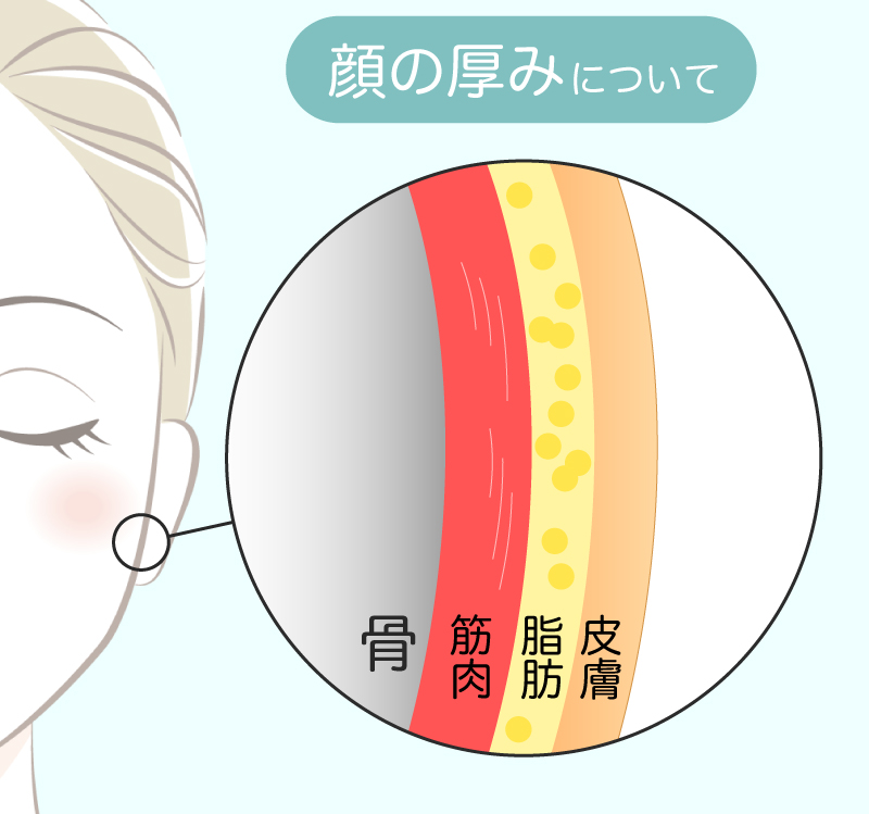 顔の厚みについて